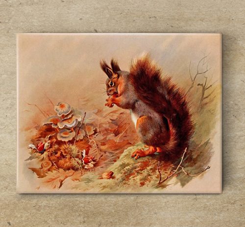 Tile mural - wildlife - squirrel