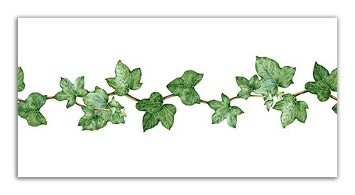 Ivy patterned border tile