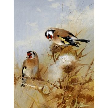 Ceramic tile trivet - birds -axis 