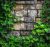 Ceramic tile mural - Ivy on stone wall