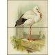 Tile mural - birds -white stork 