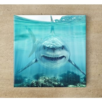 Fehér cápa dekorcsempe