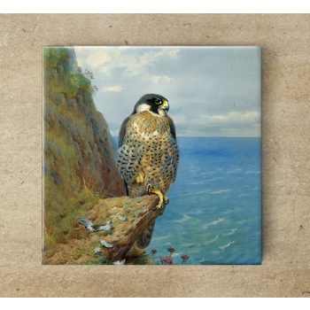 Ceramic tile mural - birds -Falcon falcon 