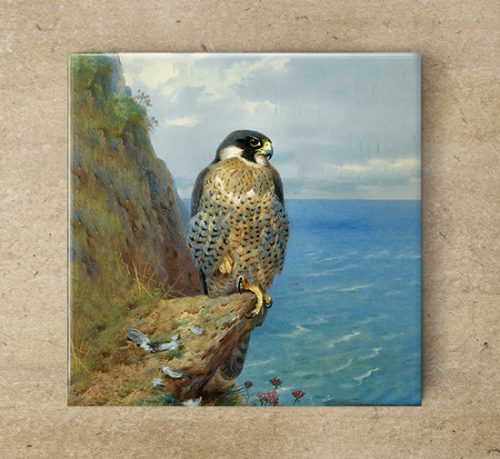 Ceramic tile mural - birds -Falcon falcon 