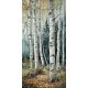 birch forest path with white trunks – ceramic tile mural