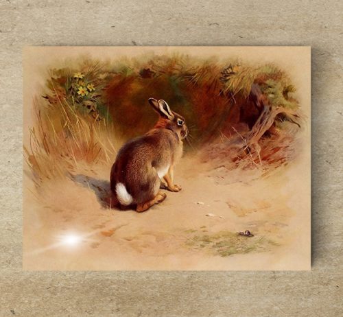 Tile mural - wildlife - rabbit -