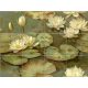 Decorative ceramic tile mural with cream water lilies and green lily pads on a tranquil water background