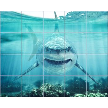 Tile mural - water world - Great White shark Tile mural - water world - Great White shark