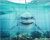 Tile mural - water world - Great White shark