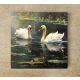 Ceramic tile mural - birds -rusty tail 