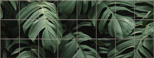 Monstera levelek trópusi dekorcsempe és csempekép zöld növény mintával
