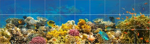Tile mural - coral reef III.