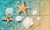 Seashells and starfish on sandy beach in shallow water – summer tile mural