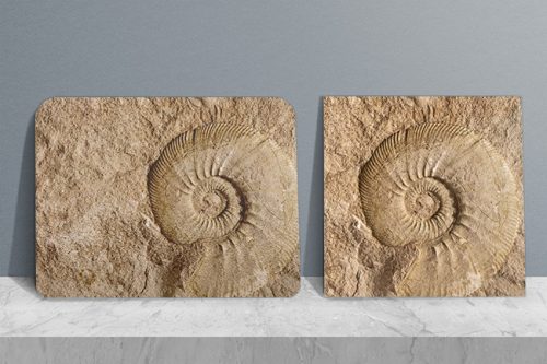 Ammonitesz mintás konyhai szett