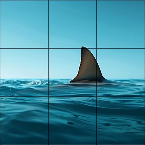 Tile mural - water world - Great White shark