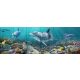 Tile mural - water world - dolphins 