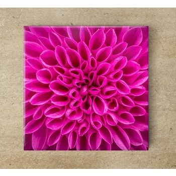 Krizantém mintás dekorcsempe