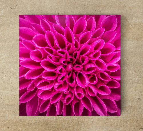 Chrysanthemum - ceramic tile trivet