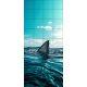 Tile mural - water world - Great White shark