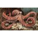 Octopus in underwater scenery – ceramic tile mural with sea life