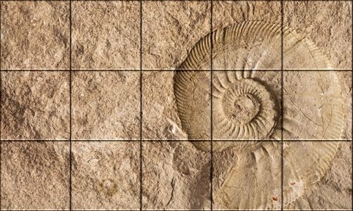 Ceramic tile mural - ammonites fossil