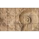 Fürdőszobai mozaik csempe őskövület mintával 100x60cm