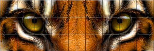 Ceramic tile mural - Eyes of a tiger