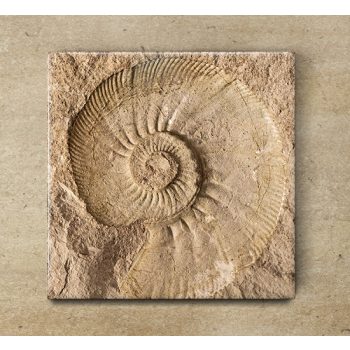 Minták és motívumok